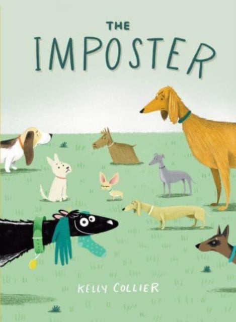 The Imposter-9780358697060