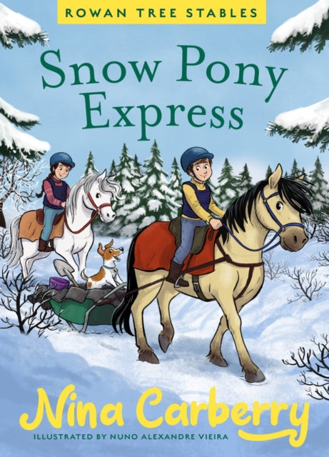 Rowan Tree Stables 3 - Snow Pony Express-9780717198733