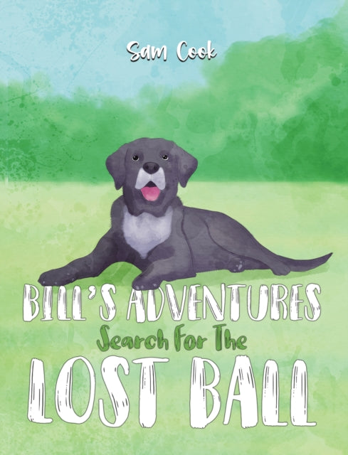 Bill's Adventures: Search for the Lost Ball-9781035858897