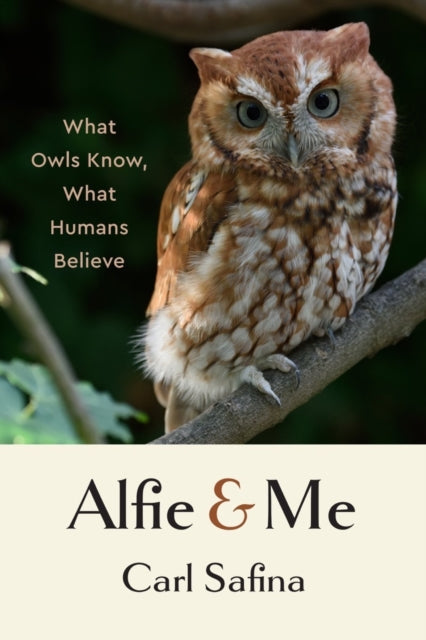 Alfie and Me : What Owls Know, What Humans Believe-9781324065463