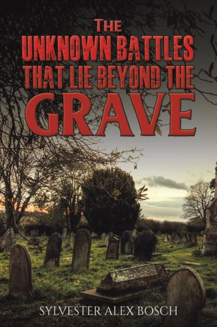 The Unknown Battles That Lie Beyond the Grave-9781398487062