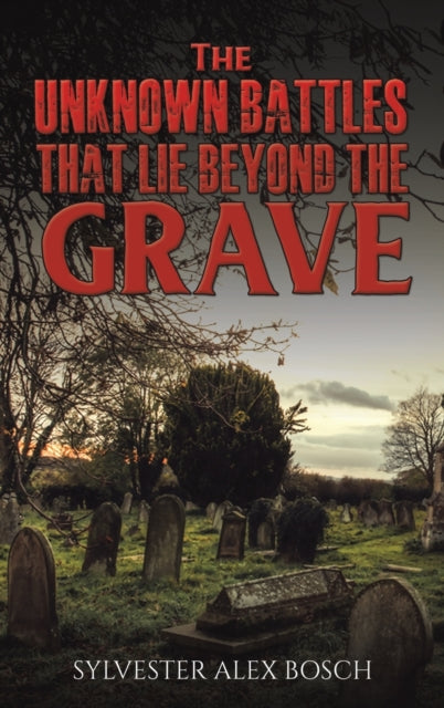 The Unknown Battles That Lie Beyond the Grave-9781398488533