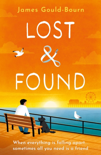 Lost & Found : When everything is falling apart, sometimes all you need is a friend-9781409191322