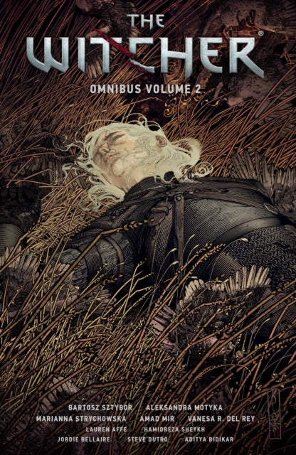 The Witcher Omnibus Volume 2-9781506726922