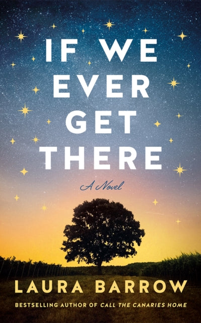 If We Ever Get There : A Novel-9781662519048