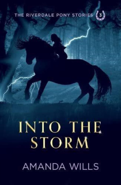 Into the Storm-9781739807078