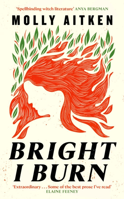 Bright I Burn-9781786898388