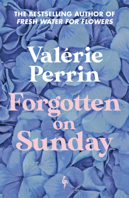 Forgotten on Sunday : From the million copy bestselling author of Fresh Water for Flowers-9781787705272