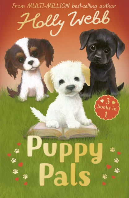 Puppy Pals : The Story Puppy, The Seaside Puppy, Monty the Sad Puppy-9781788956024