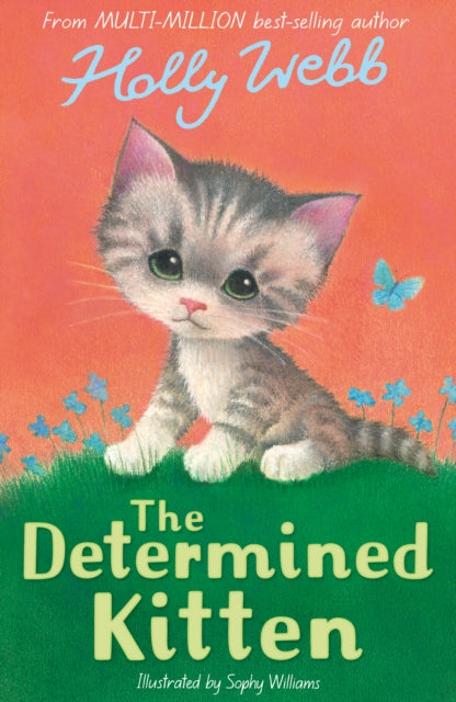 The Determined Kitten-9781788956505