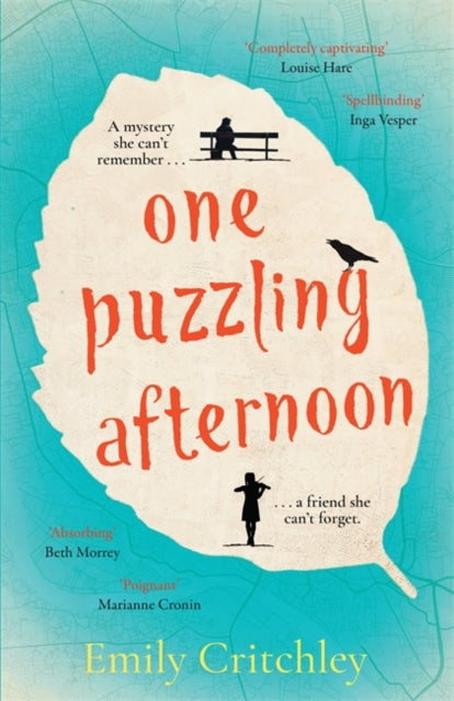 One Puzzling Afternoon : The most compelling, heartbreaking debut mystery-9781804181256
