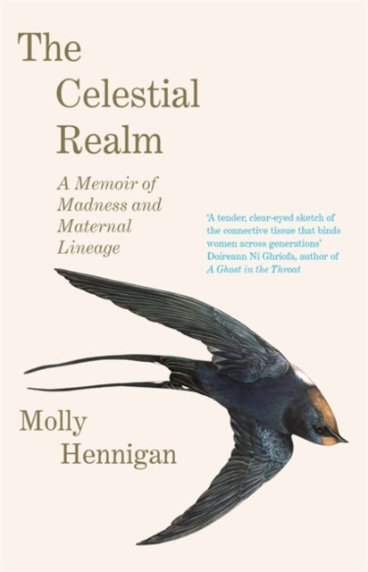 The Celestial Realm: SHORTLISTED FOR THE SUNDAY INDEPENDENT NEWCOMER OF THE YEAR IRISH BOOK AWARDS-9781804184066