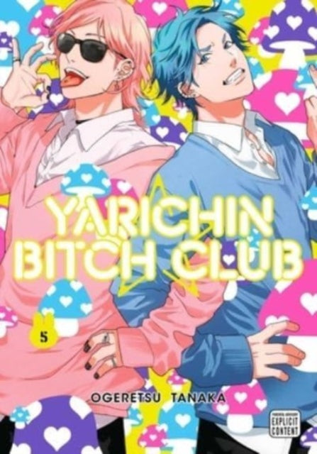 Yarichin Bitch Club, Vol. 5-9781974738991