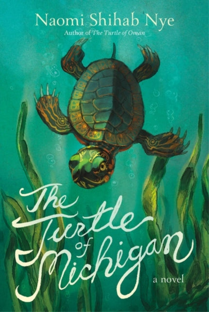 The Turtle of Michigan : A Novel-9780063014169