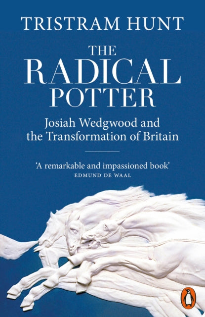 The Radical Potter : Josiah Wedgwood and the Transformation of Britain-9780141984629