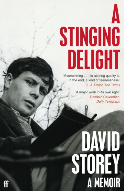 A Stinging Delight : A Memoir-9780571360321