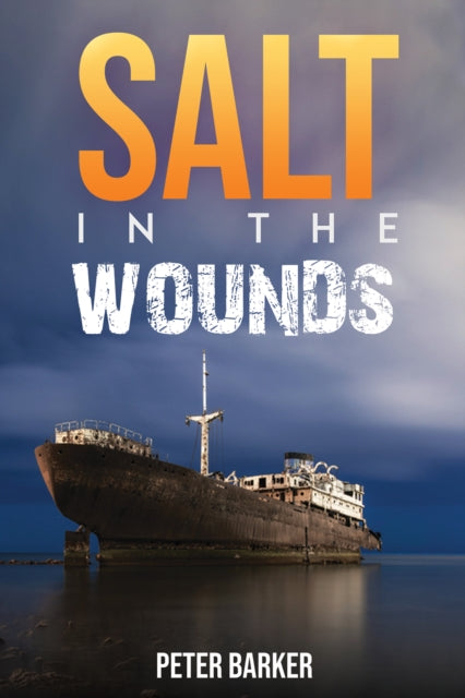 Salt in the Wounds-9781035810420