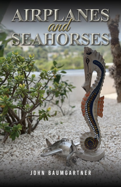 Airplanes and Seahorses-9781035820627