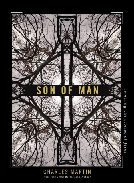 Son of Man : Retelling the Stories of Jesus-9781400333523