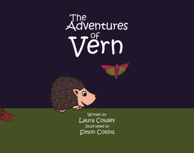 The Adventures of Vern-9781528995771