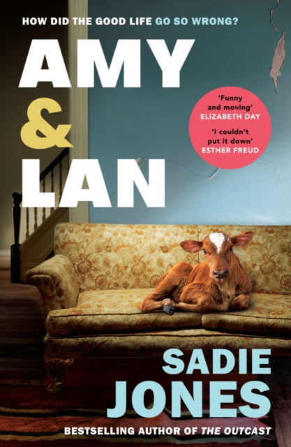 Amy and Lan : The enchanting new novel from the Sunday Times bestselling author of The Outcast-9781529116175