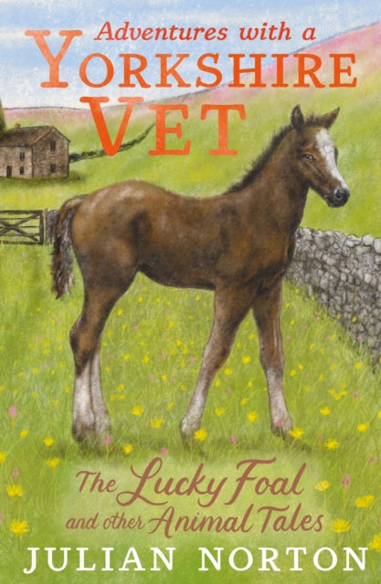 Adventures with a Yorkshire Vet: The Lucky Foal and Other Animal Tales-9781529509922