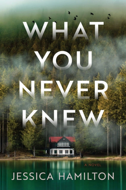 What You Never Knew : A Novel-9781639103034