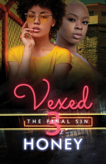 Vexed 3 : The Final Sin-9781645563822