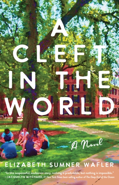 A Cleft in the World : A Novel-9781647424527