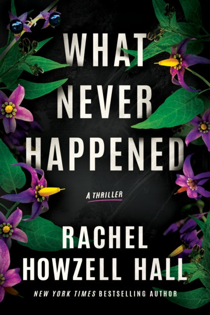 What Never Happened : A Thriller-9781662504136