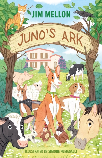 Juno's Ark-9781739250508