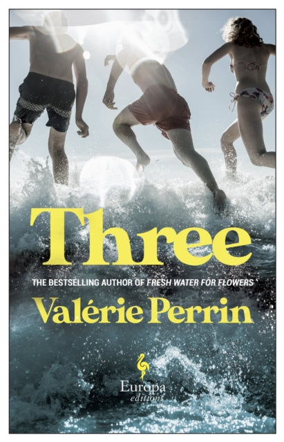 Three : From the bestselling author of Fresh Water for Flowers-9781787703766
