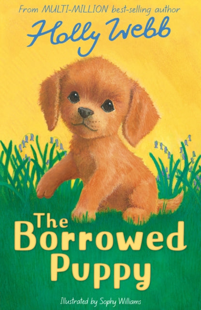 The Borrowed Puppy-9781788955645
