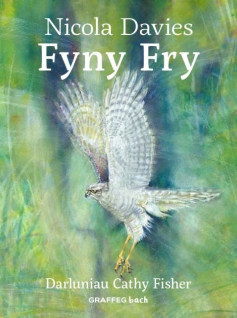 Fyny Fry-9781802583649