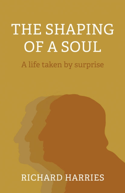 Shaping of a Soul, The : A life taken by surprise-9781803411620