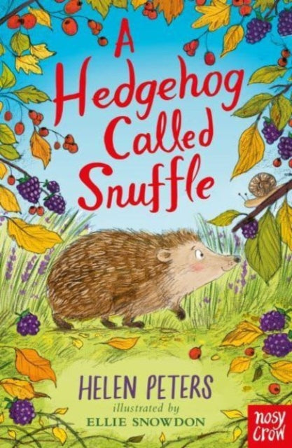 A Hedgehog Called Snuffle-9781839945052
