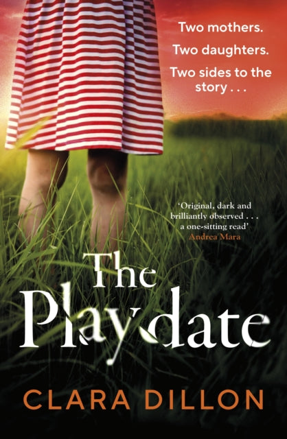 The Playdate : A startling and deliciously pitch-dark story from leafy suburbia-9781844886593